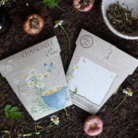 Chamomile Gift of Seeds Packet by Sow n' Sow - Fauve + Co